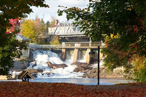 滝の底にある川の向こう側からのブレイスブリッジ滝。地面には明るい落ち葉があり、滝の上にはシルバーブリッジがあります。