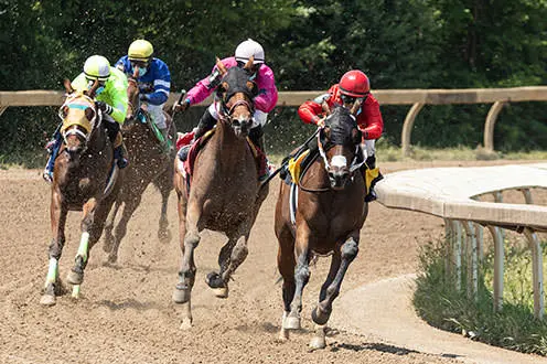 Quatre chevaux de course montés par des jockeys sur un chemin de terre. À partir de la gauche, un jockey porte du vert, l'autre du bleu, le troisème du rose et le dernier du rouge. Le jockey en rouge est légèrement en avance.