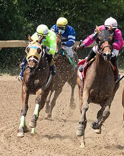 Four jockeys racing horses on a dirt track. From the left, one jockey is wearing green, one is wearing blue, one is wearing pink an one is wearing red. The jockey wearing red is slightly in the lead.