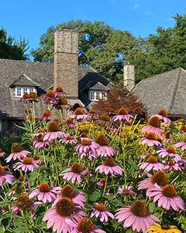 A large older building with brown sloped roofs, 3 chimneys and small white windows in the background surrounded by trees. The foreground is filled with pink, purple and yellow flowers and green foliage.
