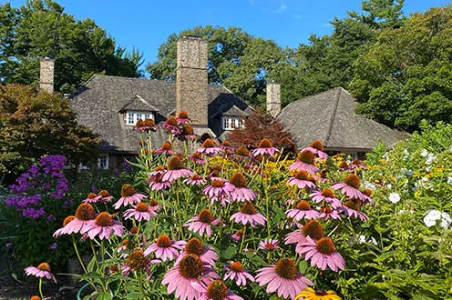 Ein großer Altbau mit braunen Schrägdächern, 3 Schornsteinen und kleinen weißen Fenstern im Hintergrund umgeben von Bäumen. Der Vordergrund ist mit rosa, lila und gelben Blumen und grünem Laub gefüllt.