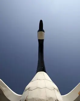 Unterhalb der Wawa-Gans-Skulptur, die durch den Himmel zu schweben scheint