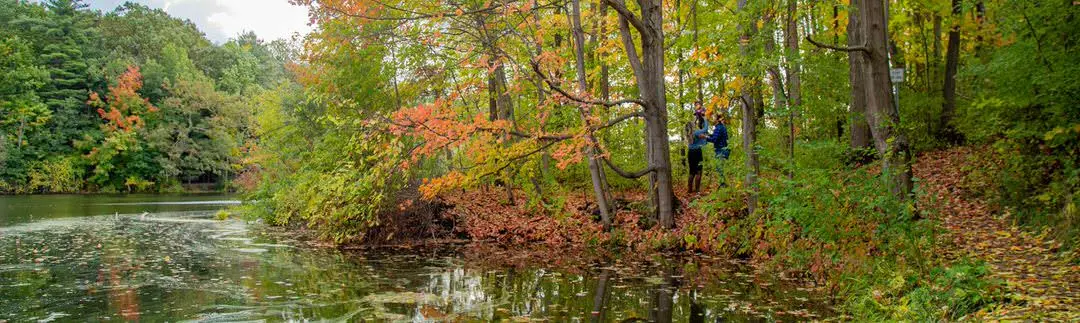 Feuillage d'automne le long d'une rivière