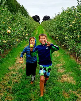 Two excited young boys running through the rows of an apple orchard.
