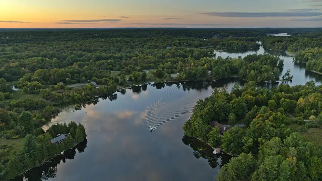 Vue aérienne d'une rivière serpentant à travers une forêt épaisse