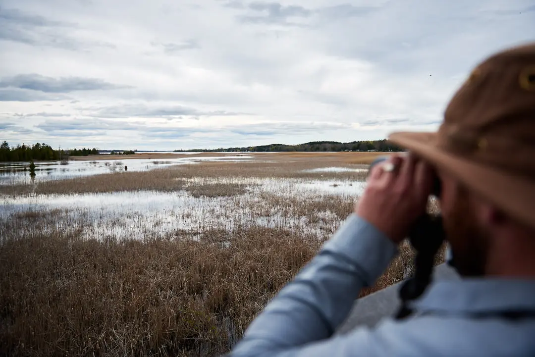 男が双眼鏡で沼をバードウォッチングしている