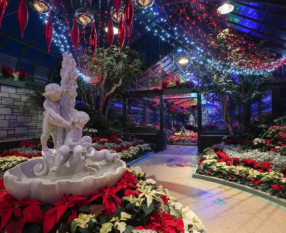 Eine beleuchtete Blumenvitrine für den Innenbereich