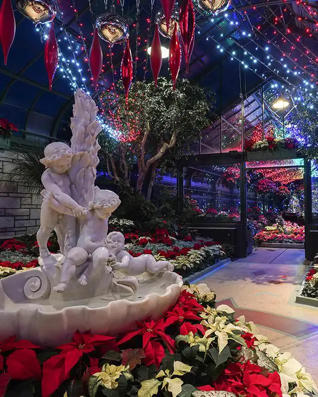 Eine beleuchtete Blumenvitrine für den Innenbereich