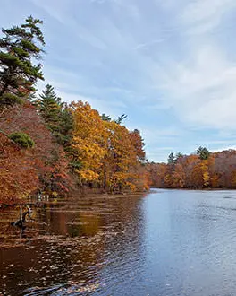 Ein großer Teich, der im Herbst von einem Wald umgeben ist.