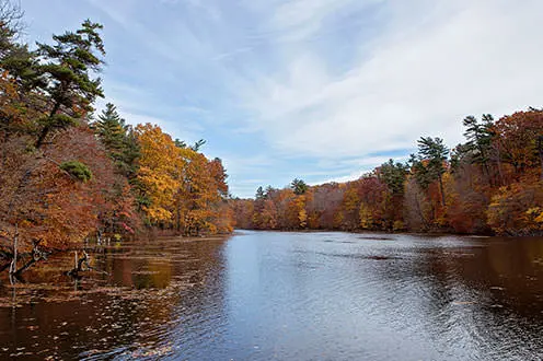 秋には森に囲まれた大きな池。