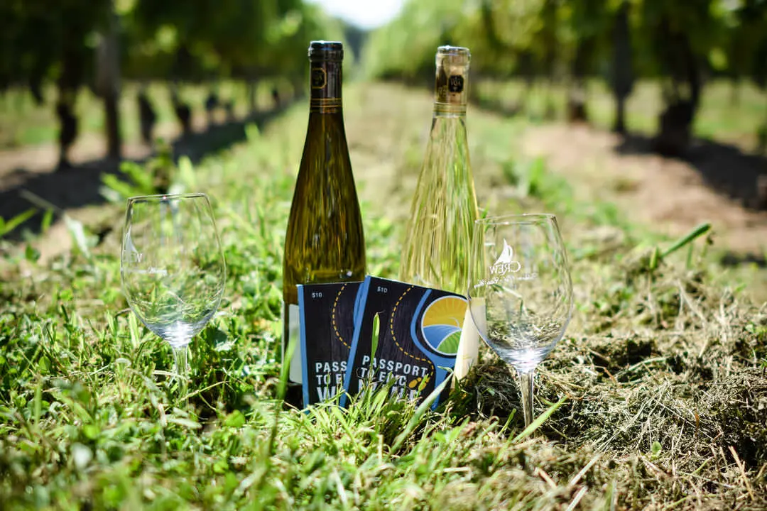 Dos botellas de vino y copas de vino en el suelo en un viñedo.