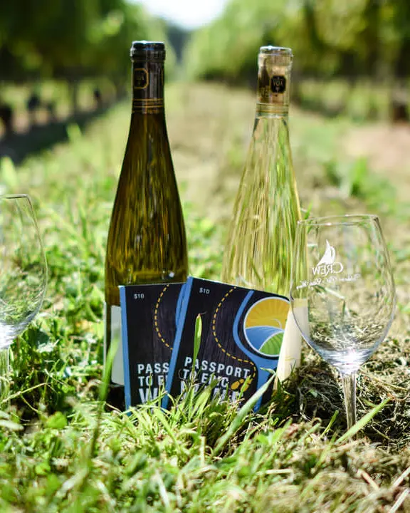 Zwei Weinflaschen und Weingläser auf dem Boden in einem Weinberg