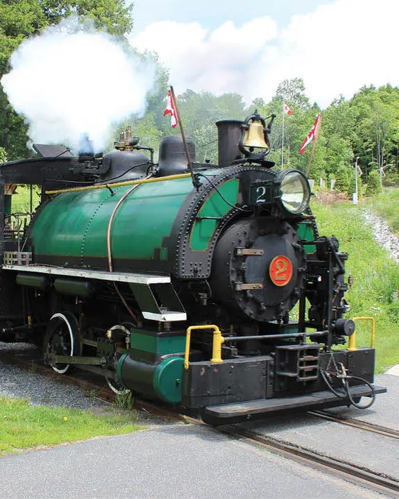 Train à vapeur sur une voie simple avec locomotive qui tire des voitures à ciel ouvert et des touristes qui émergent de la forêt au passage à niveau.