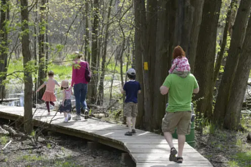 男と女と4人の子供が前方の川に向かって木製の通路で木の幹を通り過ぎて歩く