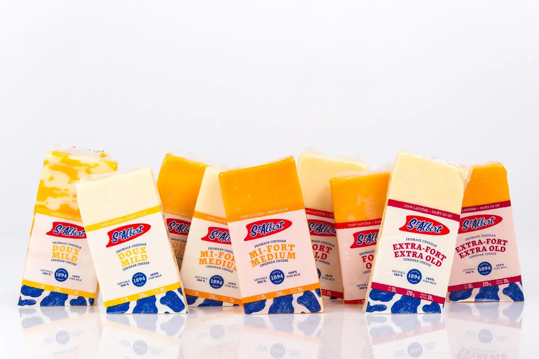 9 paquetes etiquetados de queso cheddar naranja y amarillo alternados alineados en ángulos sobre una mesa reflectante blanca brillante