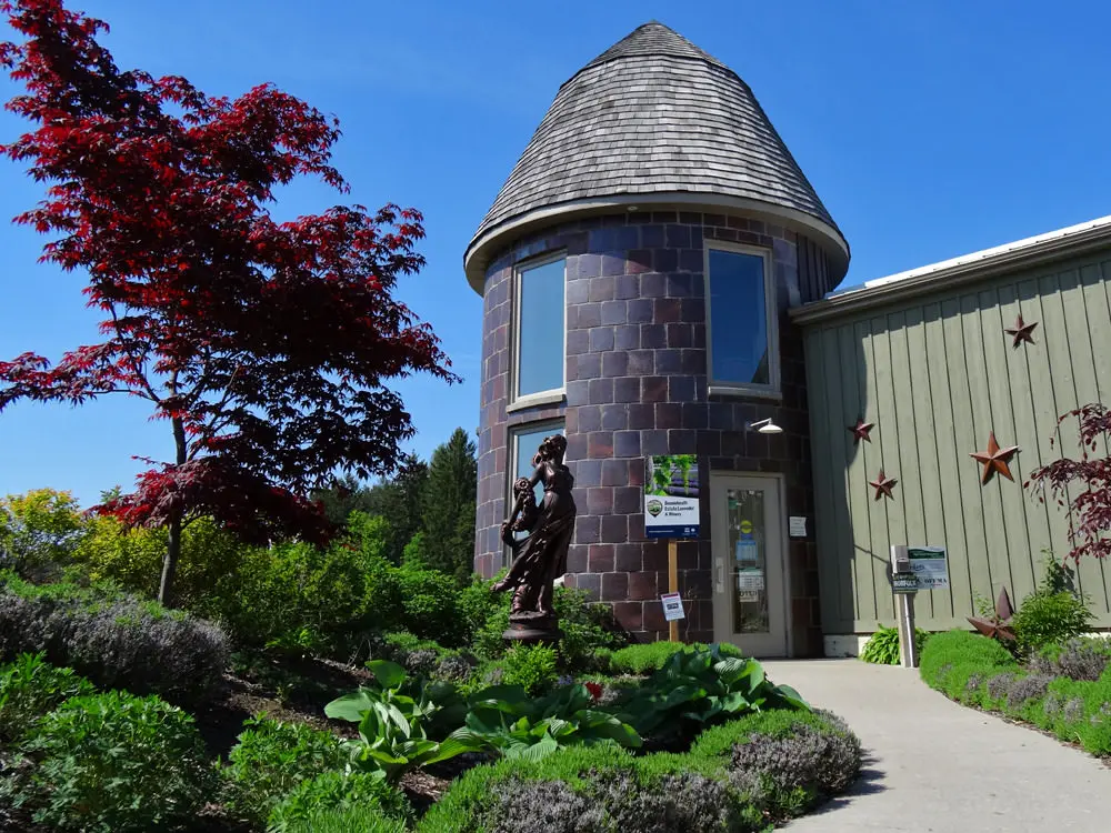 A path leading to the entrance to a winery