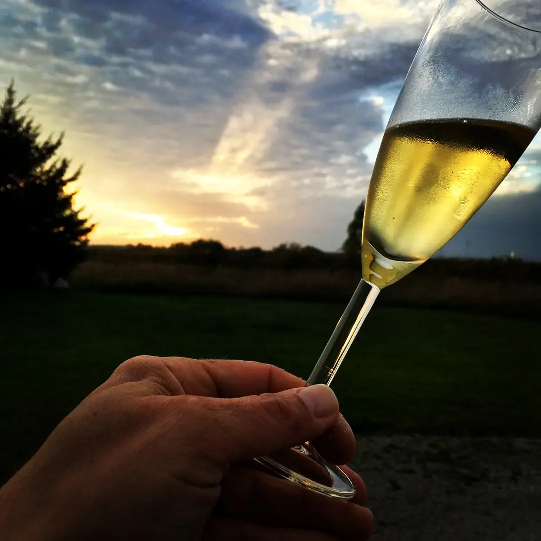A hand holding a glass of cider in front of a farm landscape