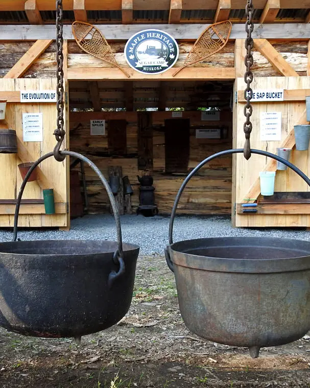 Four large maple syrup pots hang in front of a sugar shack