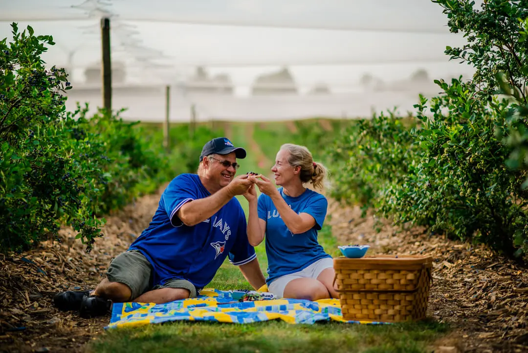 Una pareja disfrutando de un picnic en un huerto de bayas