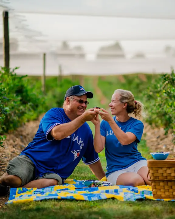 A couple enjoying a picnic in a berry patch