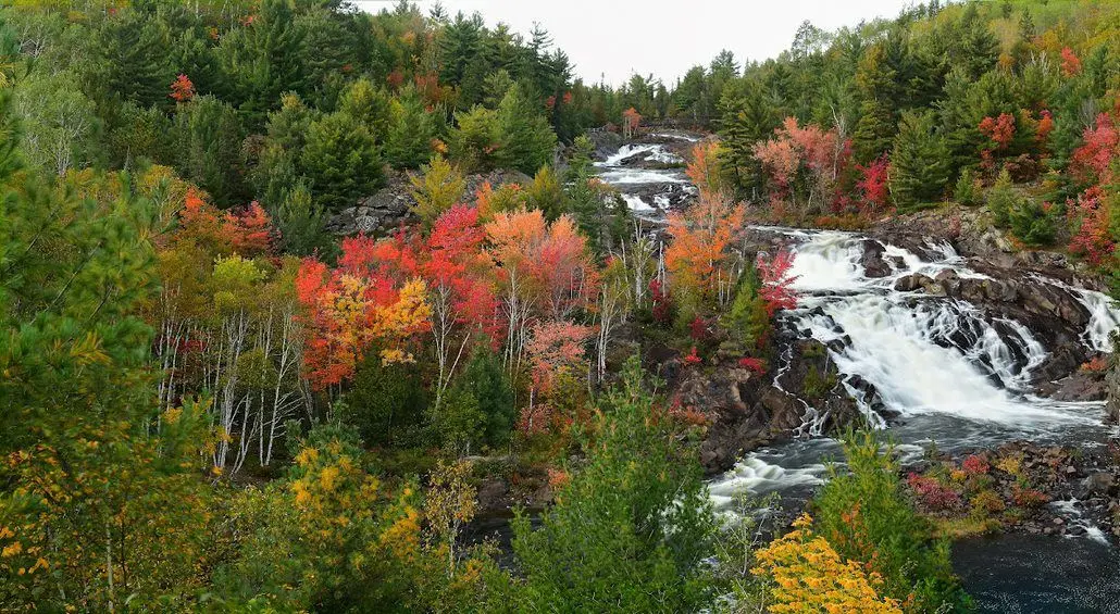 Cascade entourée de feuillage d'automne