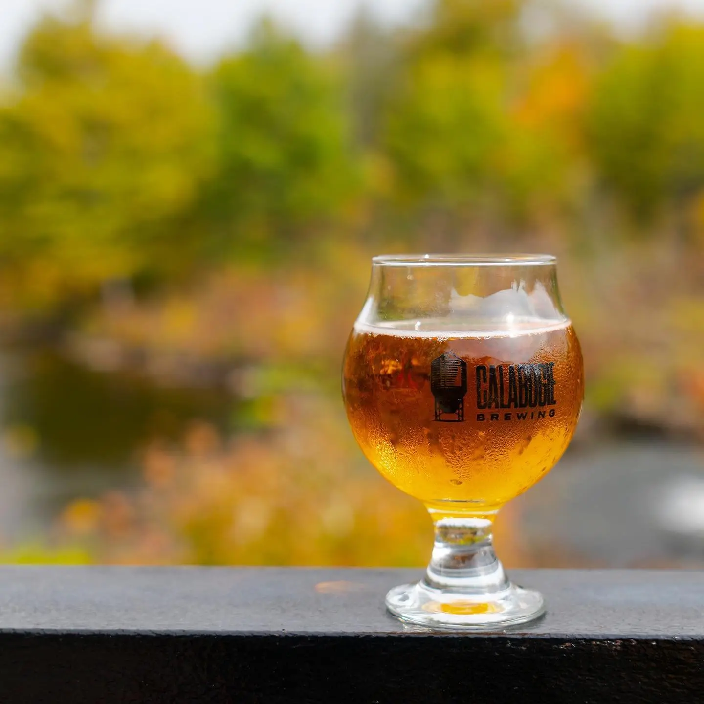  Un verre de pale ale suant sur une corniche avec des couleurs d'automne en arrière-plan