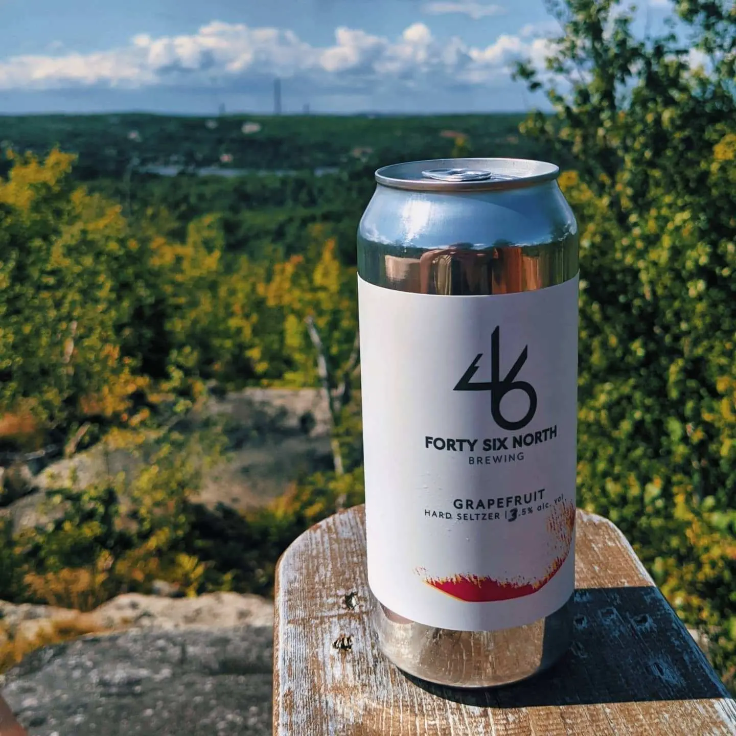 A can of hard seltzer sits on an arm rest with the forest in the background