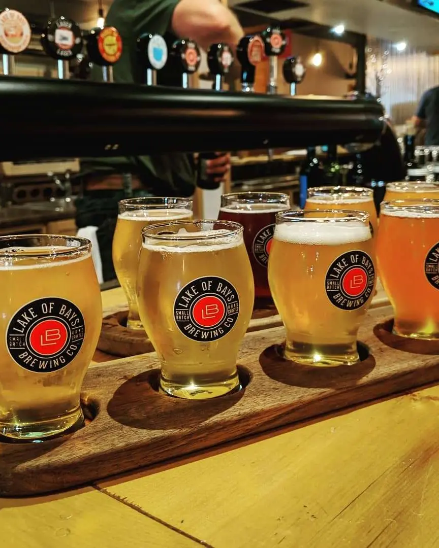 Deux vols de bière reposant sur un comptoir de bar avec des robinets de bière en arrière-plan