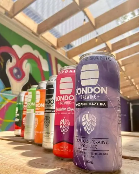 Siete latas de cerveza de diferentes colores alineadas en una mesa