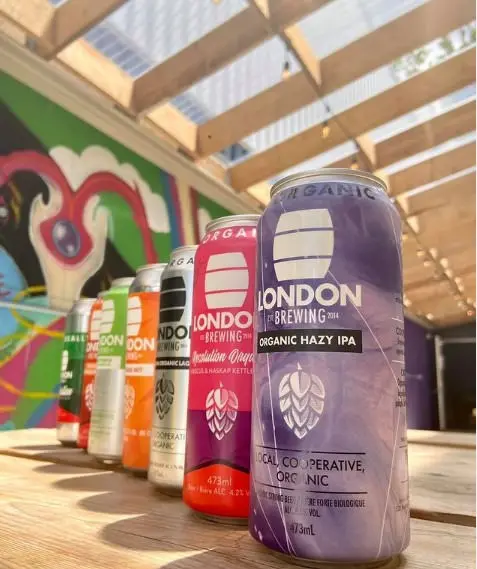 Seven different coloured cans of beers lined up on a table