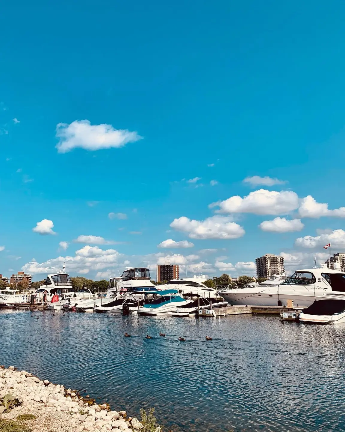 마리나에 정박해 있는 수많은 호화 보트 위에 구름 몇 개가 있는 밝고 푸른 맑은 하늘