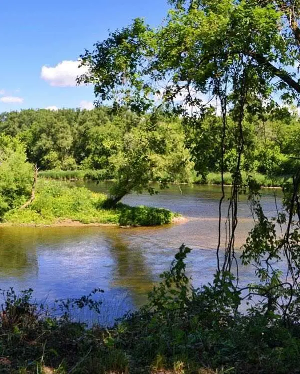 Vue sur une zone boisée traversée par une rivière