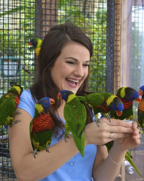 Woman surrounded by a variety of exotic birds