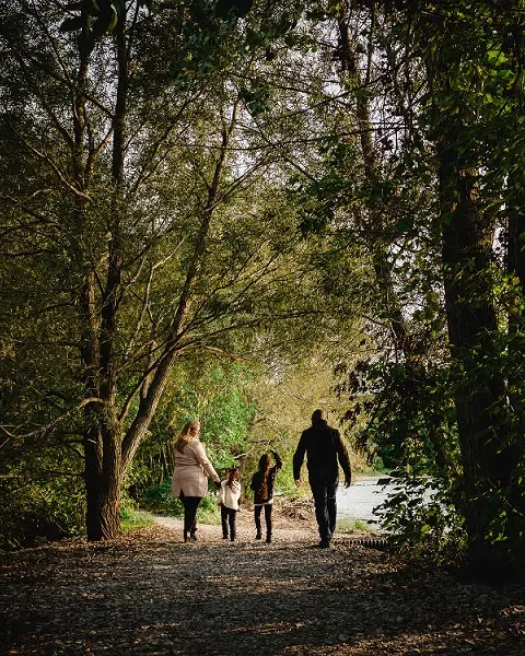 A family of four taking a stroll in a forest