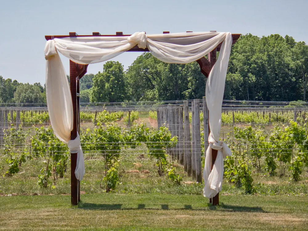 Du tissu blanc orne une pergola devant un vignoble