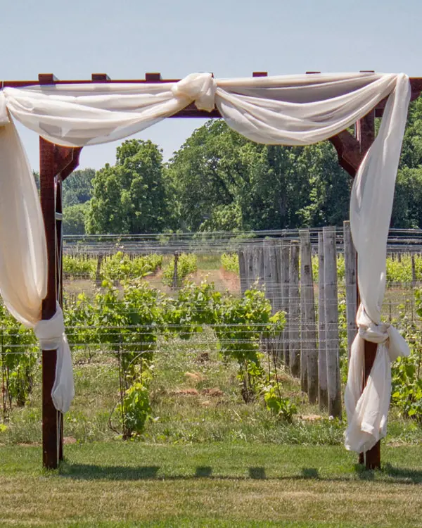 White fabric adorns a pergola in front of a vineyard