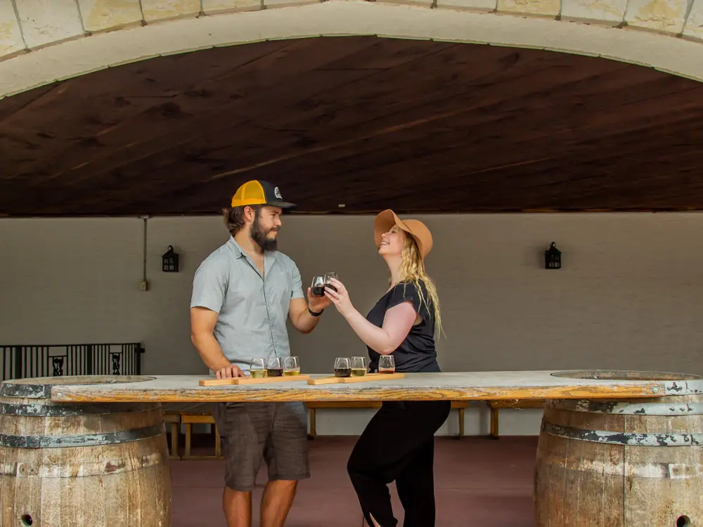 Un homme et une femme toasts avec des verres à vin
