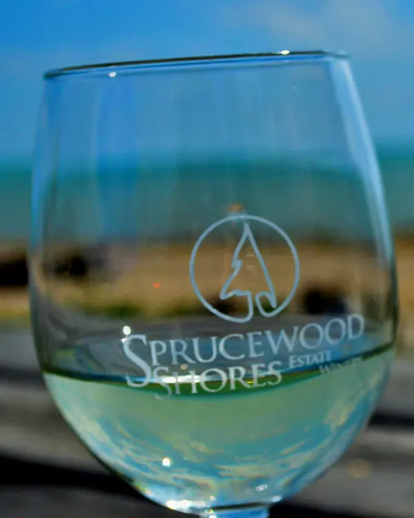 Gros plan d'un verre de vin blanc avec le lac en arrière-plan