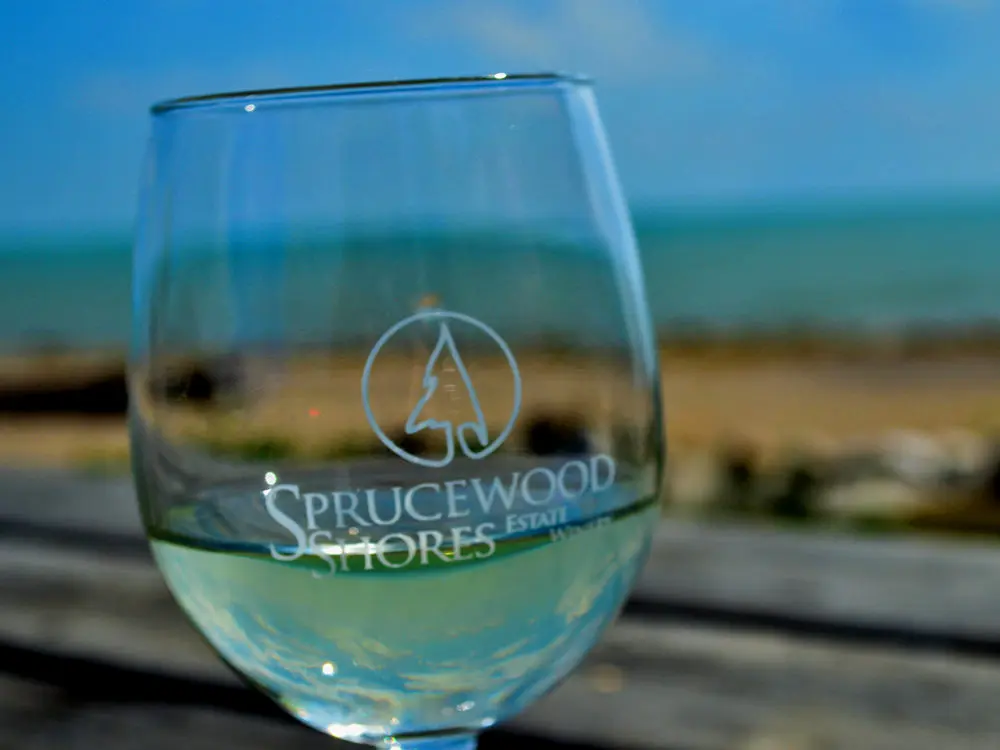 Gros plan d'un verre de vin blanc avec le lac en arrière-plan