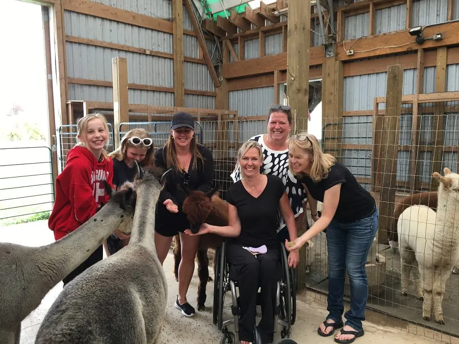 Un grupo de mujeres rodeadas de alpacas.