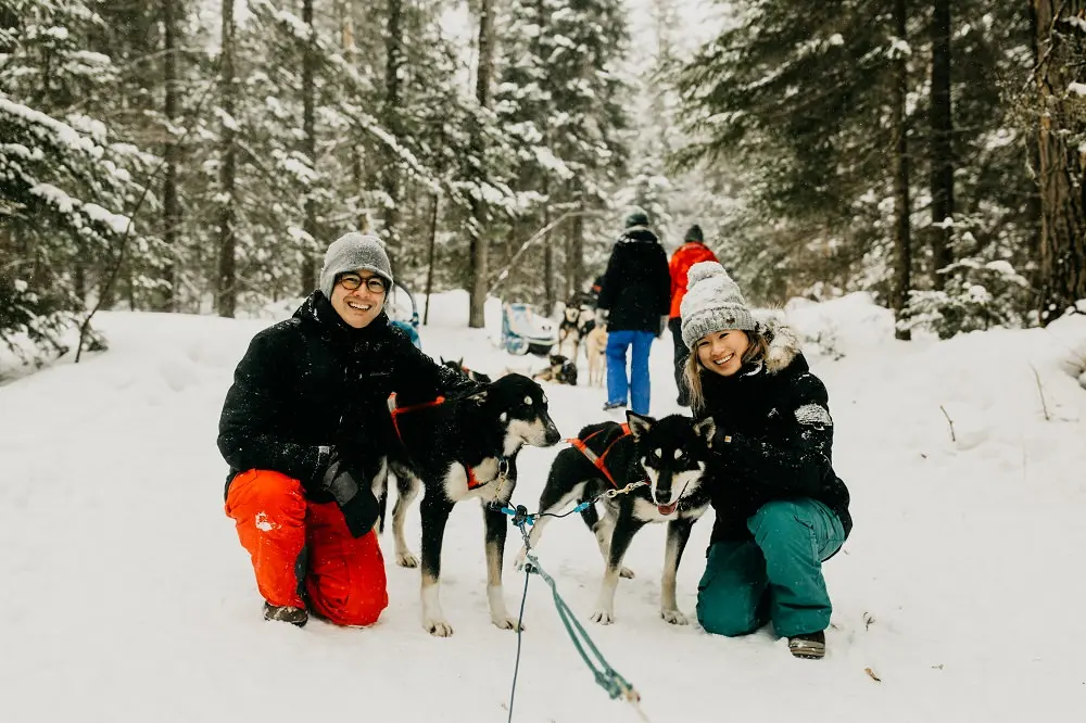 Un homme et une femme qui sourient tous les deux et prennent la pose avec deux chiens husky 