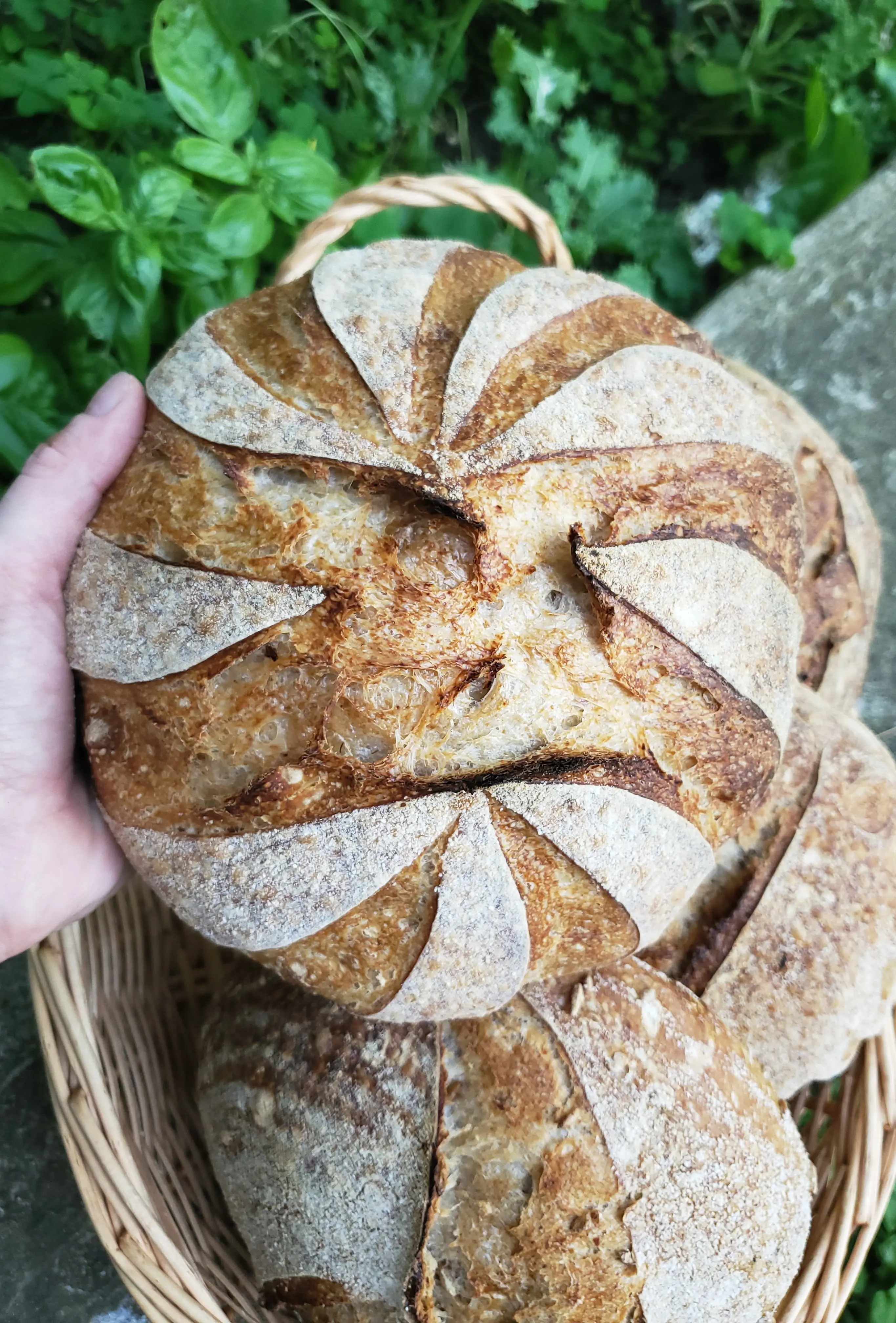 Gros plan d’une miche de pain