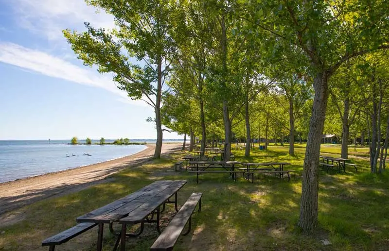 湖のほとりに近いピクニックテーブルのある公園