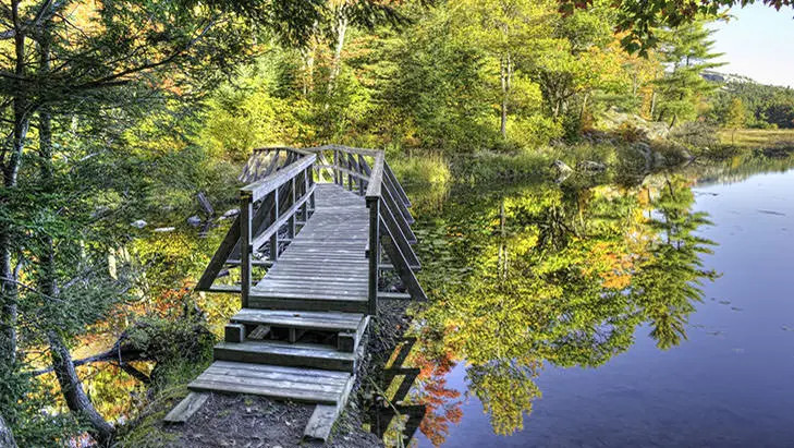 Un puente de madera sobre un río tranquilo rodeado de árboles.