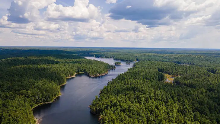 Luftaufnahme eines Flusses, der ein Waldgebiet durchschneidet Französischer Fluss