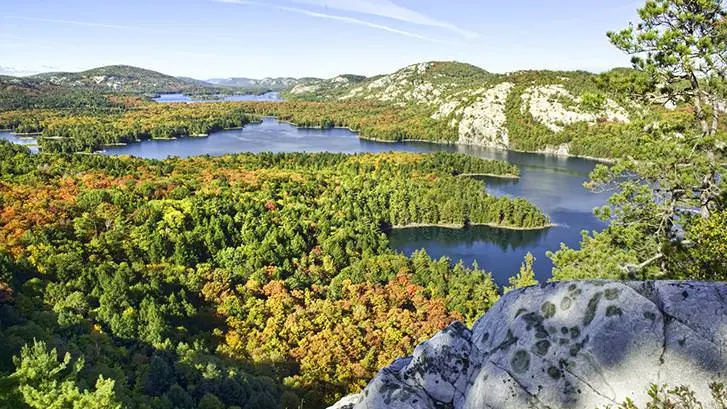 Vista panorámica de un lago rodeado por un bosque.