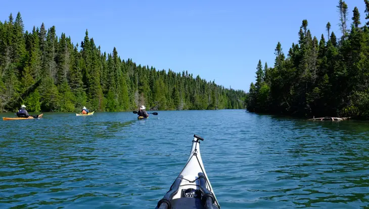 카약은 숲으로 둘러싸인 넓은 강을 향합니다.
