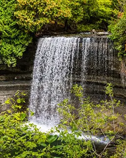 Water flowing off a rock cliff into a pool surrounded by green plant foliage.
