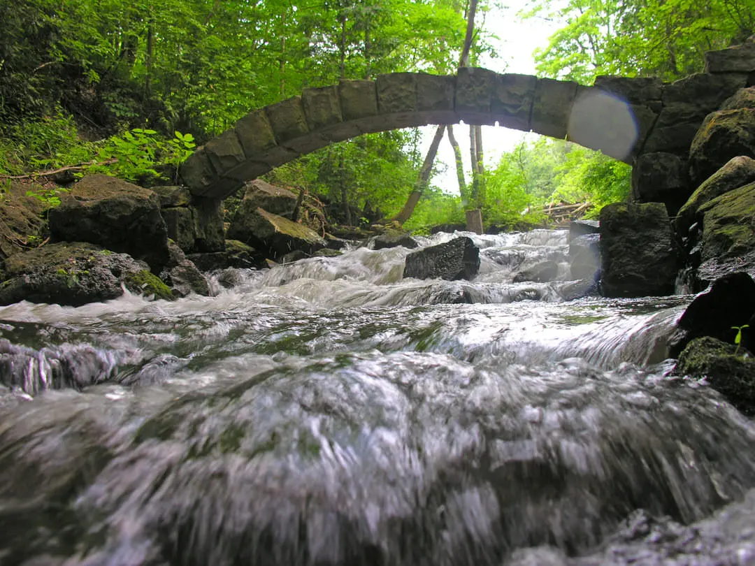 森の中の岩の上を流れる水。