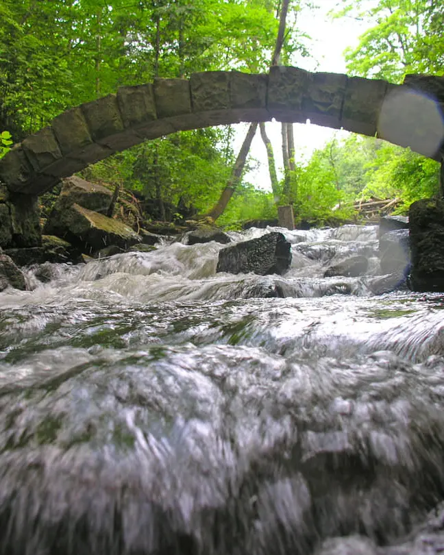 L'eau se précipitant sur les rochers dans une forêt